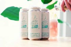 42 North Brewing Company West Gose East / 4-pack of 16 oz. cans