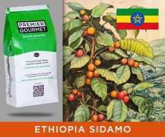 Ethiopia "Sidamo" / 1 lb.
